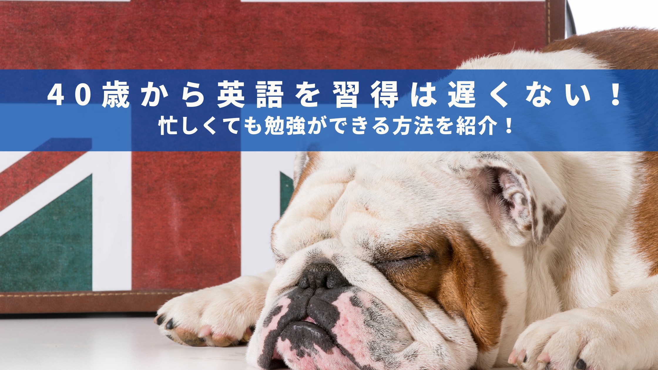 40歳から英語を習得は遅くない 忙しくても勉強ができる方法を紹介