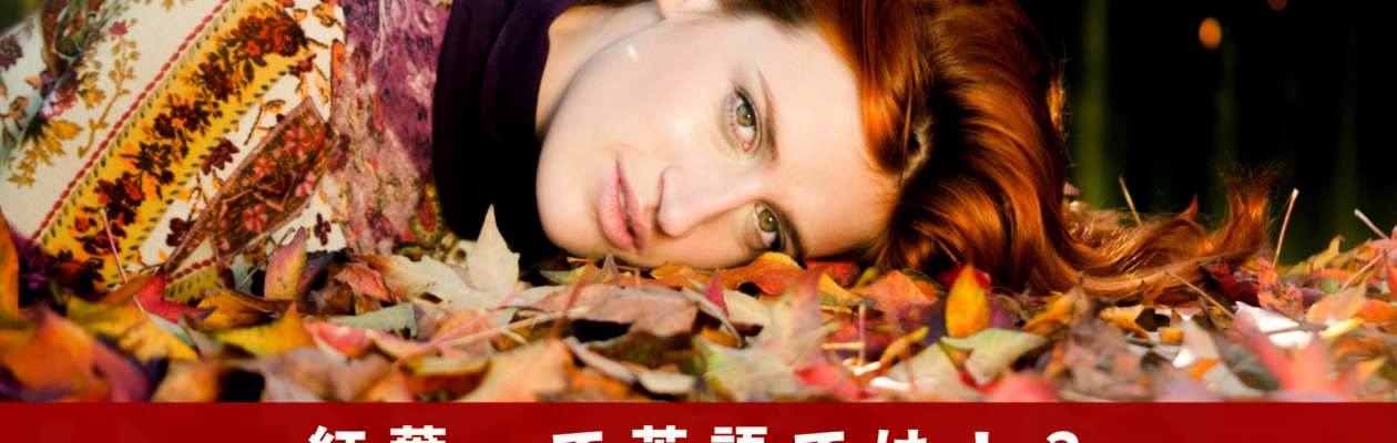 紅葉って英語では！？【例文つき】紅葉について英語で説明できるようになろう！