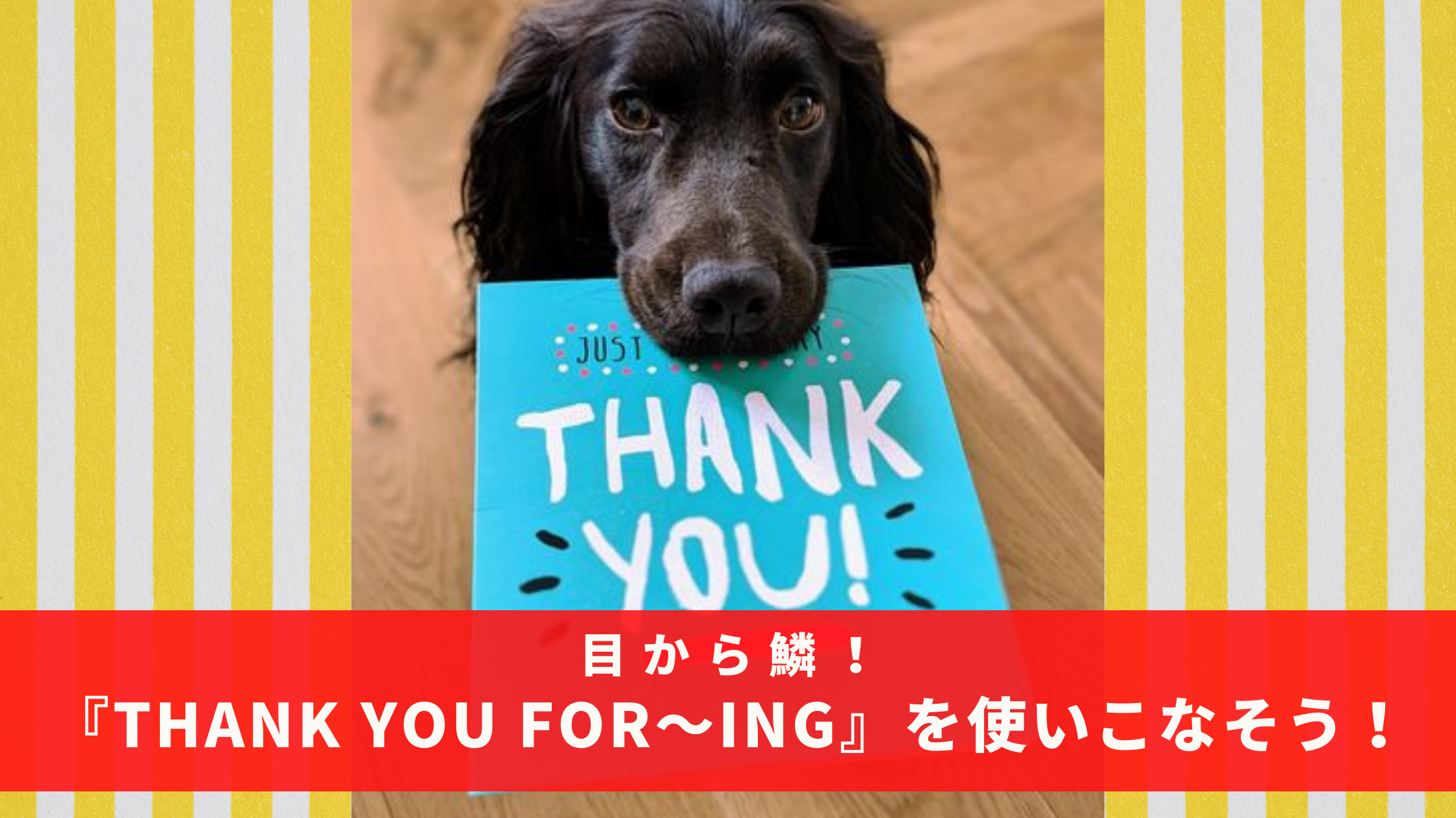 ビジネスシーンでもカジュアルシーンでも同じ表現！『Thank you for～ing』の意味と使い方を例文で解説！