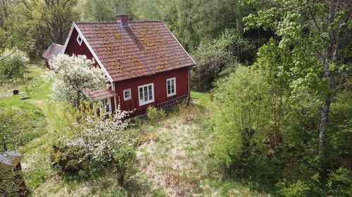 Summer at the Ødegård (Abandoned Farm) by Rune