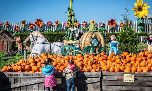 Fall in Philadelphia by Eloise