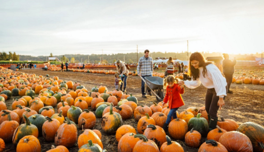 A Trip to the Pumpkin Patch by Rachel